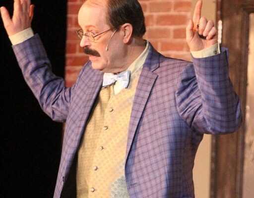 A Novelist Steps Onstage